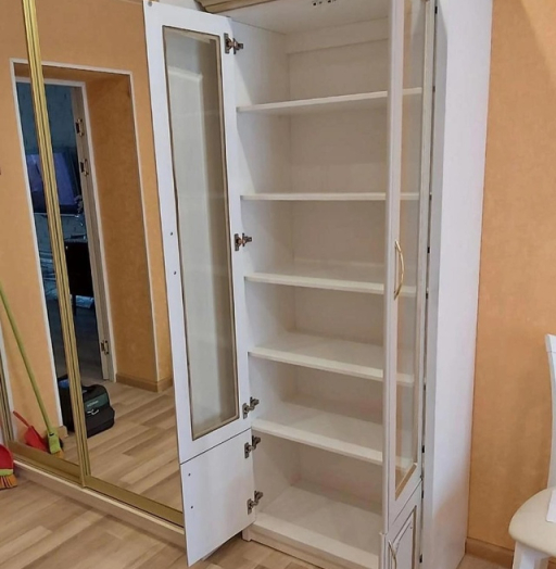 Шкафы-Шкаф по индивидуальному размеру «Модель 17»-фото3